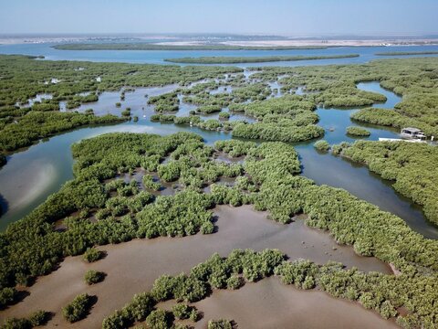 Vue a&eacute;rienne des canaux et des mangroves du Sine Saloum - S&eacute;n&eacute;gal 
