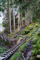 Rustic Wooden Path and Steps Winding Up a Steep Forest Trail