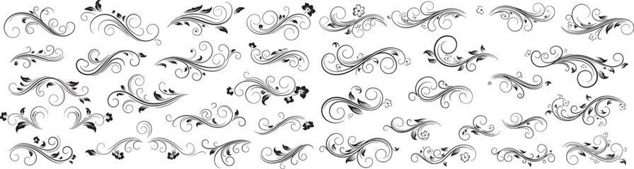 Silhouette vector collection of vintage floral ornaments and decorative swirls isolated on white background
