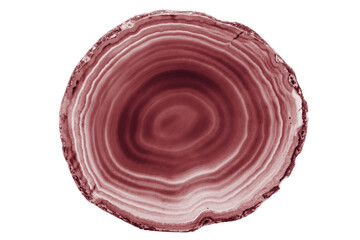 A painted brown agate slice with white veins on a white background suits decor and craft projects....