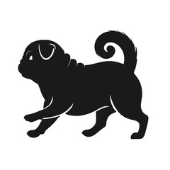 black and white dog