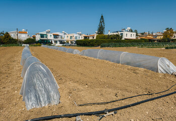 Plastic greenhouse tunnels on farmland near modern suburban houses under clear blue sky – blend...