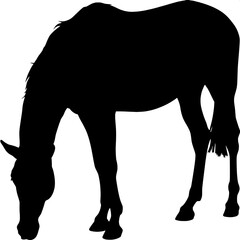 A bold, stylized horse silhouette facing right, with its head lowered slightly in a grazing position. All outlines are smooth and minimal, representing only the essential features. Background remains 