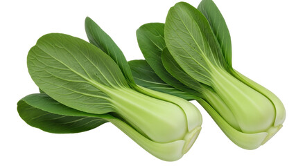 Isolated Pair of Bok Choy