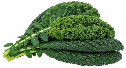 Isolated Kale