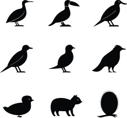 Fototapeta premium Collection of black silhouette icons of various birds a chick and a spiky plant bird silhouette