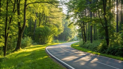 Obraz premium Winding Road Through a Lush Summer Forest Empty Forest Road with Morning Sunlight Tranquil Drive Through a Green Wood Modern Asphalt Road Through a Summer Landscape