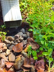 gutter and stones