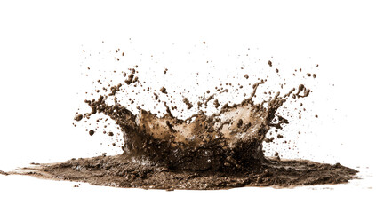 Mud splash erupts upward, radiating outward