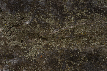 Close-up of a weathered rock covered with patches of lichen and moss. Natural organic texture perfect for backgrounds, ecology themes, or design references in architecture and graphics.