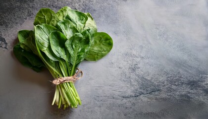 a vibrant image of a fresh bundle of spinach resting on a textured grey background highlighting fresh produce and the importance of healthy eating