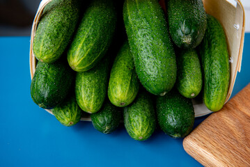 Freshly harvested cucumbers in wooden basket. on blue background.