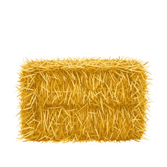 Haystack against white background in detailed illustration style, transparent background, isolated, vector  