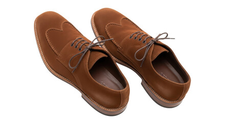Isolated Men's Brown Leather Shoes