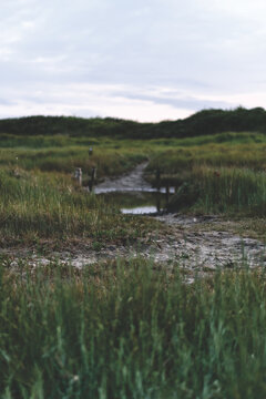 Nordseelandschaft