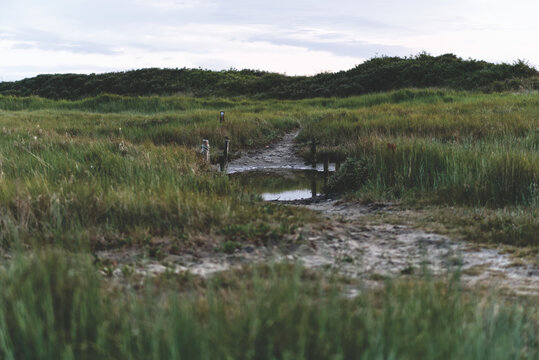 Nordseelandschaft