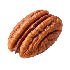 Single Whole Pecan Nut with Wrinkled Shell Texture
