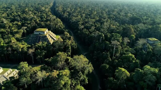 Aerial view of tikal national park in guatemala exploring ancient mayan ruins and temples amidst lush green jungles and tropical forests, a world heritage site