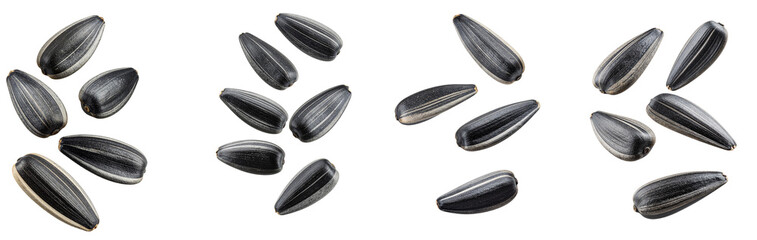 Sunflower seeds falling on transparent background in different arrangements