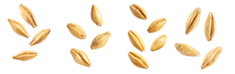 Barley grains falling on transparent background