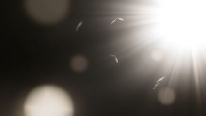 Blurred rainbow refraction overlay effect. Light lens prism effect on black background. Holographic reflection, crystal flare leak shadow overlay. Colorful rainbow disco ball light