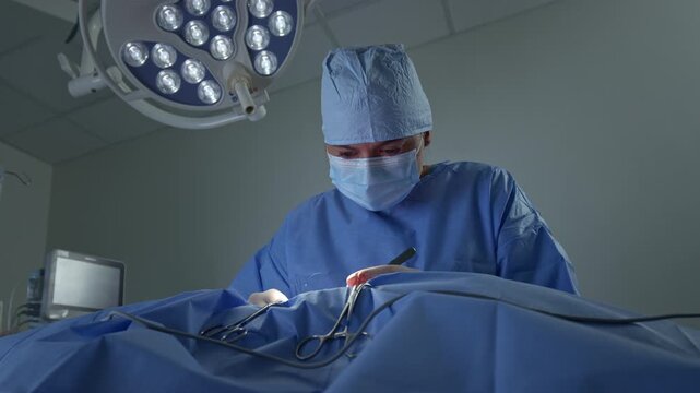 Two animal healthcare professionals, a vet doctor, and a technician during dog surgery in an operating room at a veterinary clinic, low angle shot.