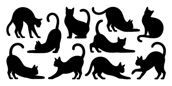 Assorted black cat silhouettes in various poses, conveying feline behavior, playful and elegant, on transparent background.
