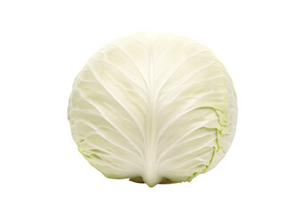 Fresh green cabbage head on a white background  isolate