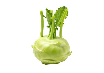 Fresh kohlrabi vegetable with green leaves on white background  isolate