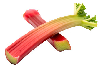 Fresh rhubarb stalks on white background  isolate