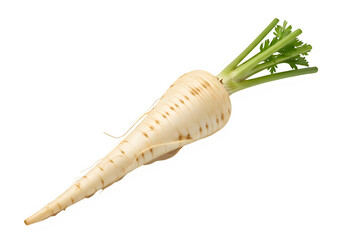 Fresh white parsnip with green leaves on a white background  isolate