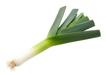Fresh leek with green leaves and roots on white background  isolate