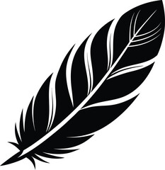 Obraz premium Vector art of black and white graphic illustration of a single feather, isolated on white background