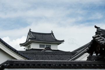 Fototapeta premium 関宿城