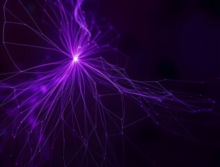 Purple Energy Network