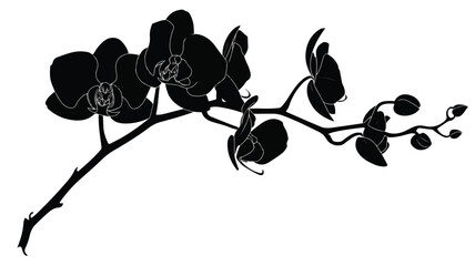 Elegant Black Orchid Silhouettes on White Background for Floral Design