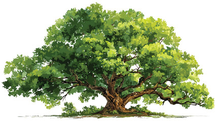 Lush Green Forest Trees with Isolated Leaf - Nature's Vibrant Greenery