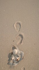 Footprints in the sand lead away from a cluster of shells and debris on a beach.