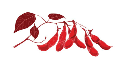 Elegant Scarlet Runner Bean Silhouette Vector Illustration for Design Projects