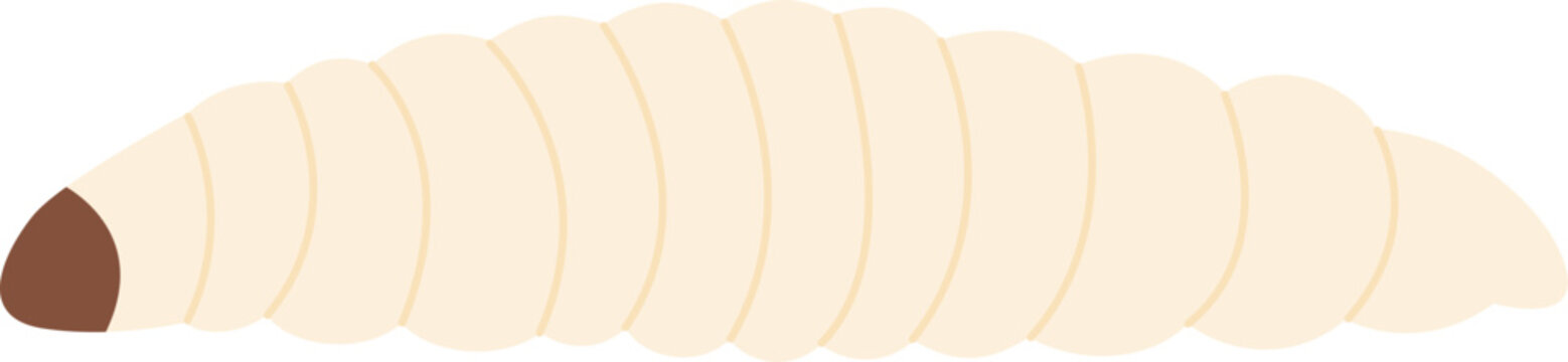 Larva maggot Vector Illustration
