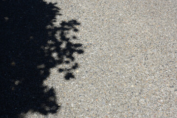 アスファルトに落ちた木の影