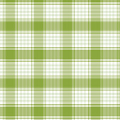 Fresh Green and White Plaid Pattern

