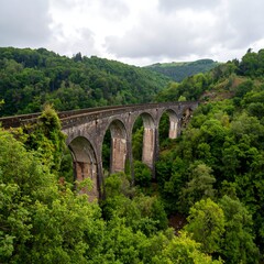 Arch bridge through lush valley
