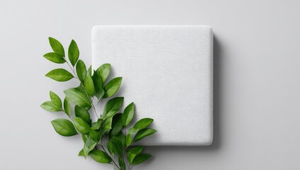 A square, off-white textured surface rests on a light grey background, adorned with a sprig of vibrant green leaves