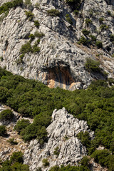 Eroded cliff of limestone with brown and grey colours. Green forest trees. 