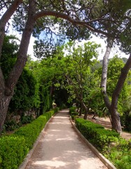 Picturesque park pathway lined with trees and shrubs