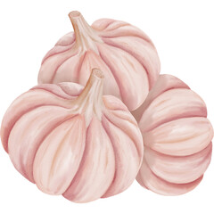 Watercolor illustration of three garlic bulbs