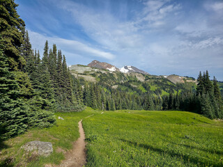 Obraz premium Scenic Mountain Trail in Whistler, BC, Amid Serene Natural Views