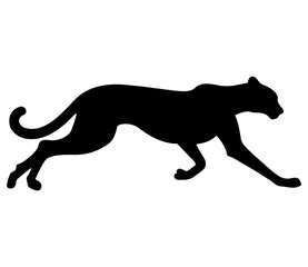 Cheetah in Full Sprint Silhouette
