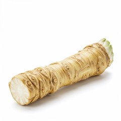 Horseradish isolated on white background for Passover ceremony and bitter herbs concept